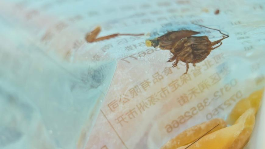 澳问正版资料大全资料,于正致歉,展开计划实施_界面版V14.41