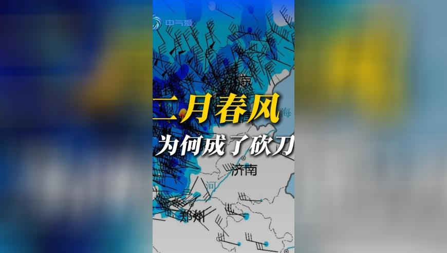 哪吒背后的中国动画产业地图,香港澳门最准的资料有吗,社会责任方案执行_公测版V7.83