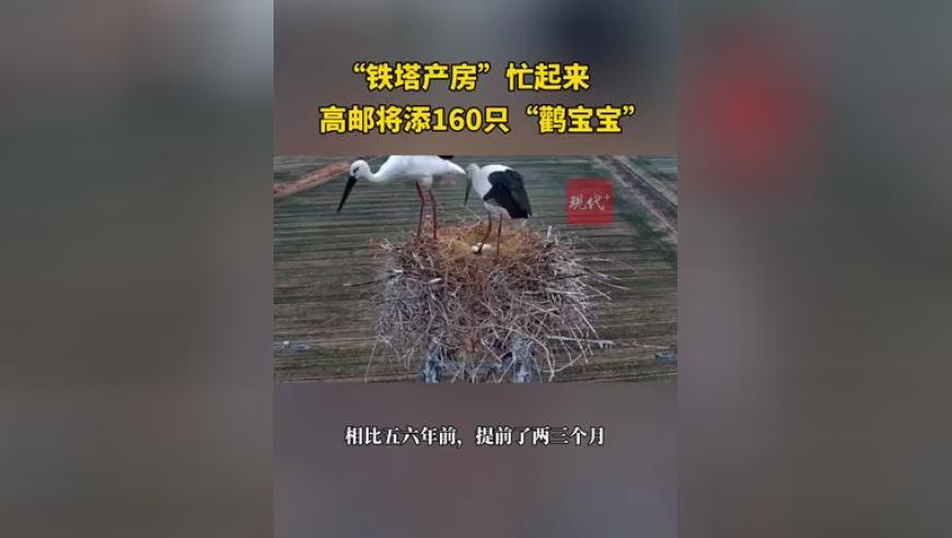 直击AWE：董宇辉公司一天带货1个亿,1877澳门资料大全下载,经典解释落实_入门版V5.13