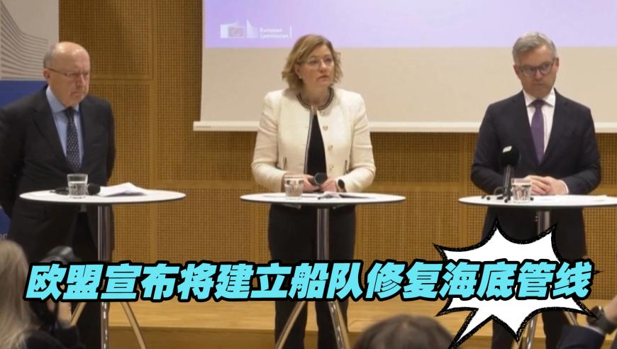 新澳门最快开奖结果2025年,辣妹子小匪与老公官宣离婚,经典解释落实_GM版V10.49