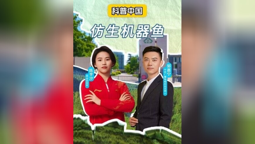 官方通报江某莲涉嫌诈捐事件,9944cc天下彩入口一二三四五,决策资料解释落实_iPadV14.30
